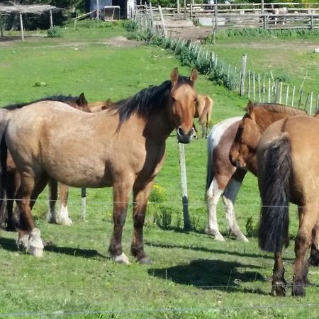 Estancia Turistica Don Joaquin Scavino 외부 사진